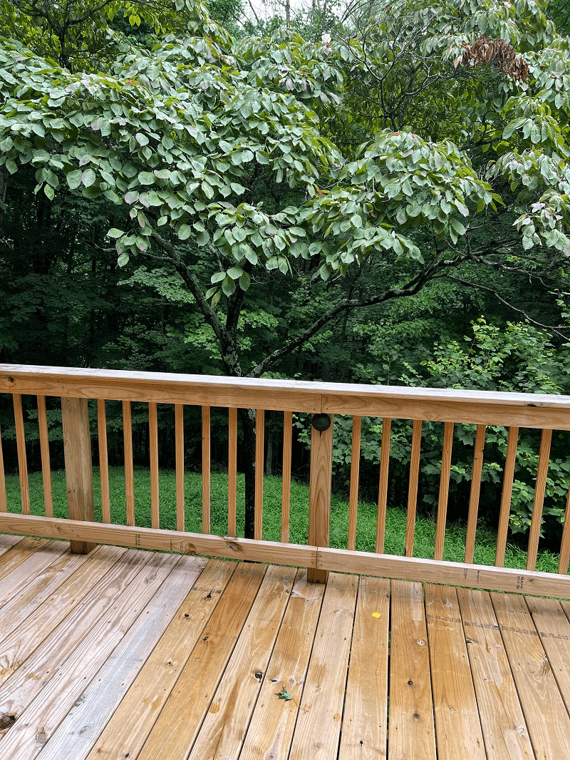 A wooden outdoor deck with a railing, looking out onto a lush green forest with mature trees.