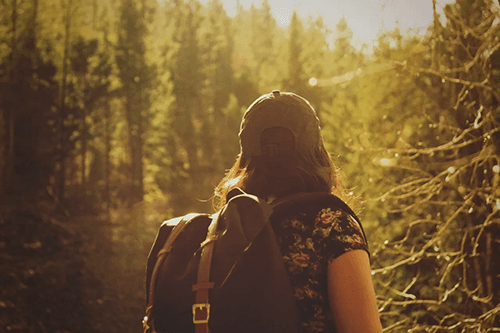 A person with a backpack walks along a sunlit forest trail.