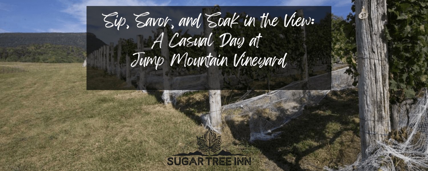 A scenic vineyard landscape with grapevines and rolling hills under a clear sky, featuring text promoting a casual vineyard experience. A scenic vineyard landscape with grapevines and rolling hills under a clear sky, featuring text promoting a casual vineyard experience.