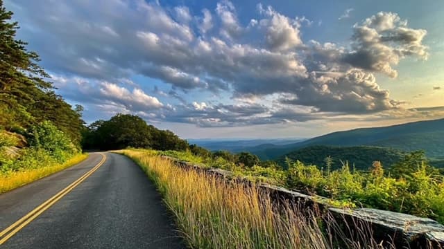 A winding road bordered by tall grass and trees, overlooking rolling hills under a dramatic sky.