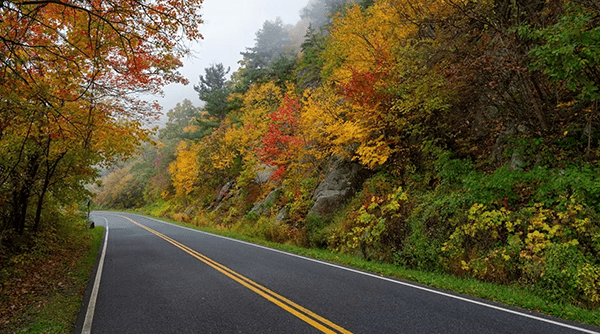 A winding road lined with vibrant fall foliage in shades of red, yellow, and green.