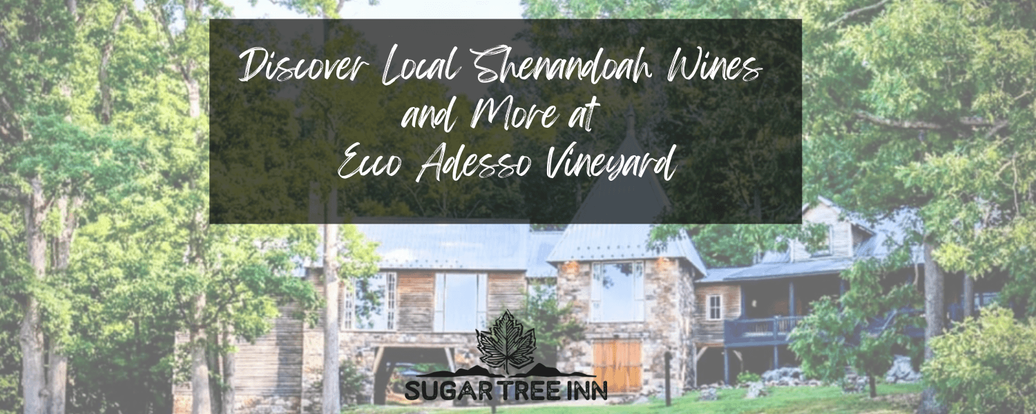 Text overlay promoting local Shenandoah wines at Eco Adesso Vineyard, with a rustic inn visible in a natural setting. Text overlay promoting local Shenandoah wines at Eco Adesso Vineyard, with a rustic inn visible in a natural setting.