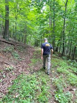 A person walks along a forest trail surrounded by green trees and foliage.