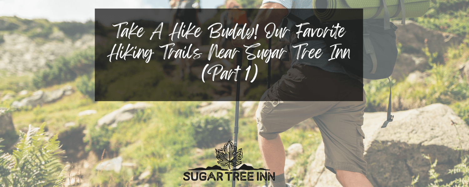 A hiker walking on a trail with a backpack, promoting favorite hiking trails near Sugar Tree Inn. A hiker walking on a trail with a backpack, promoting favorite hiking trails near Sugar Tree Inn.