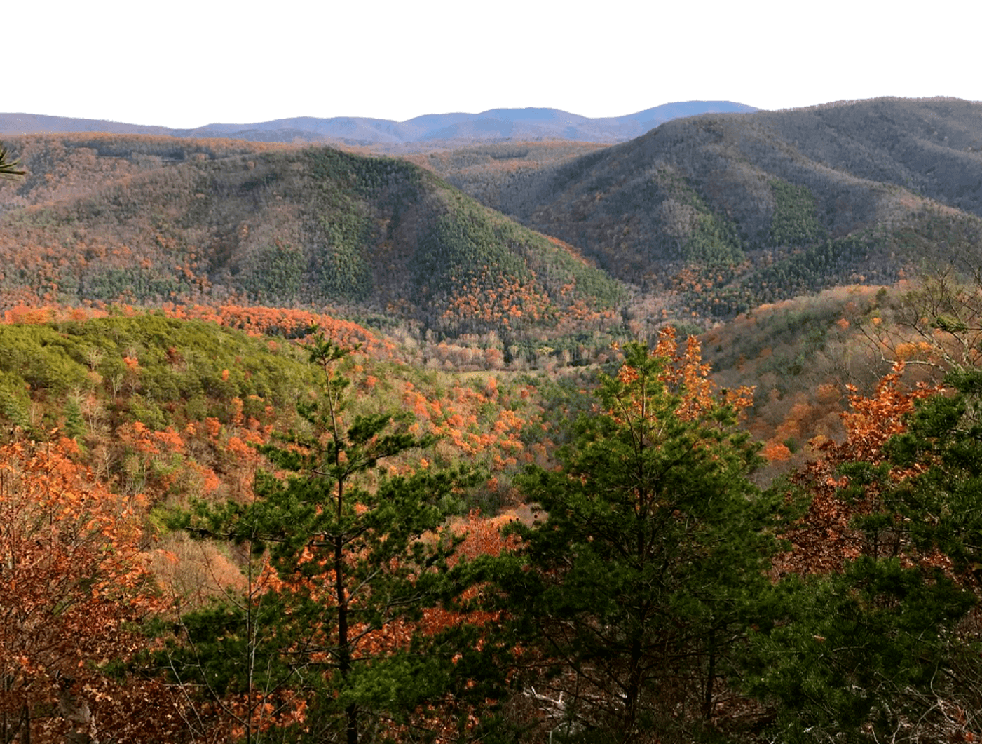 A panoramic view of colorful autumn foliage covering rolling hills and valleys.