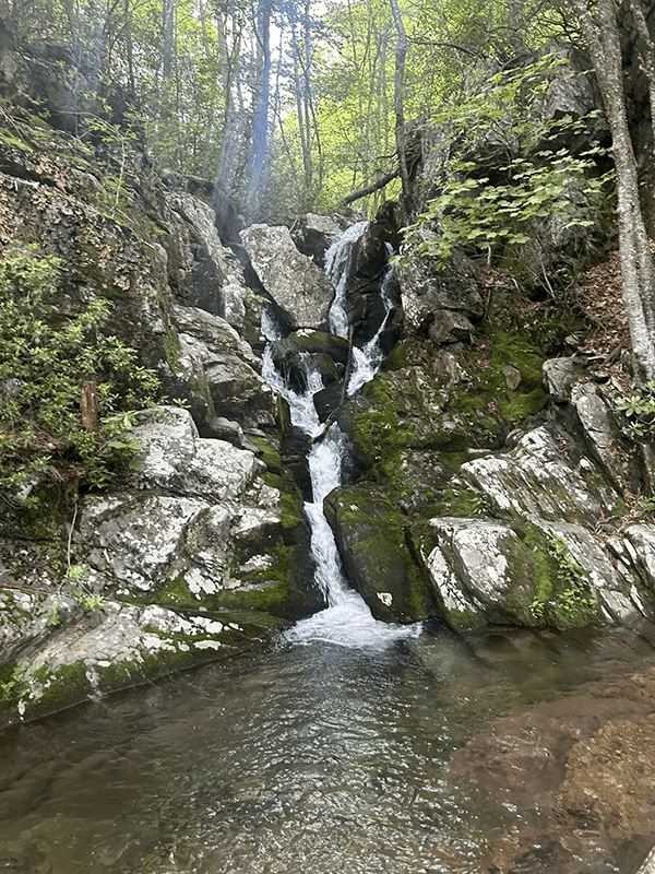 A small waterfall cascading over moss-covered rocks in a forested area.