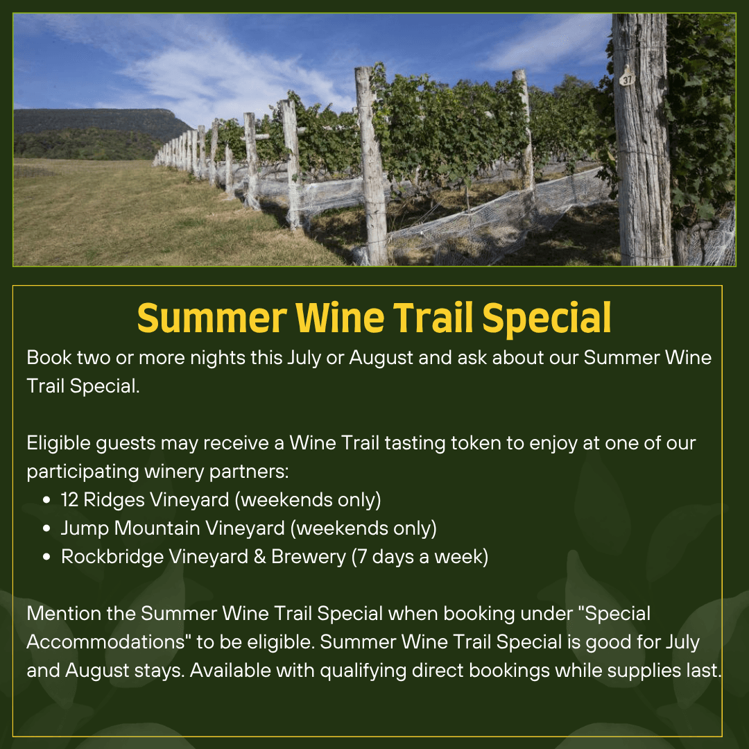 A picturesque vineyard with rows of grapevines under a clear sky, promoting a Summer Wine Trail Special for guests.