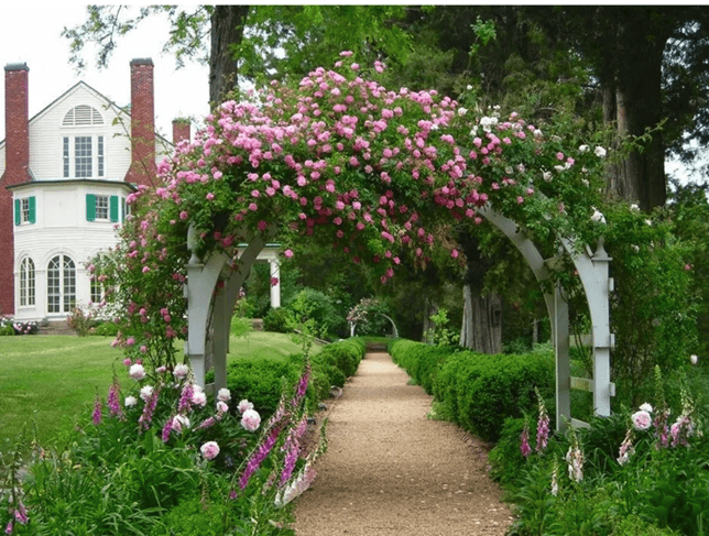 A beautiful garden path leads through an archway of pink flowers to a charming house.