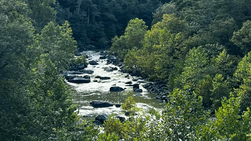 A serene river flows through rocky terrain, surrounded by lush green trees.