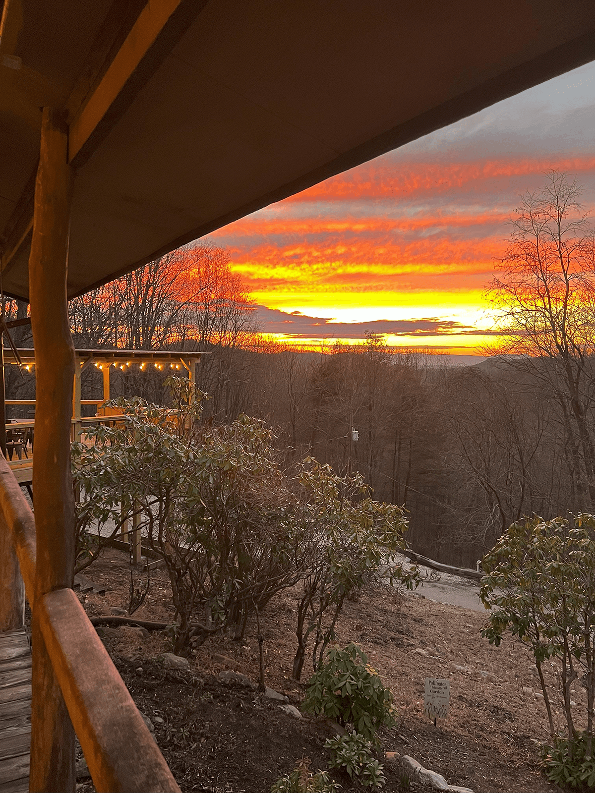 A vibrant sunset with orange and pink hues framed by trees and a wooden porch.