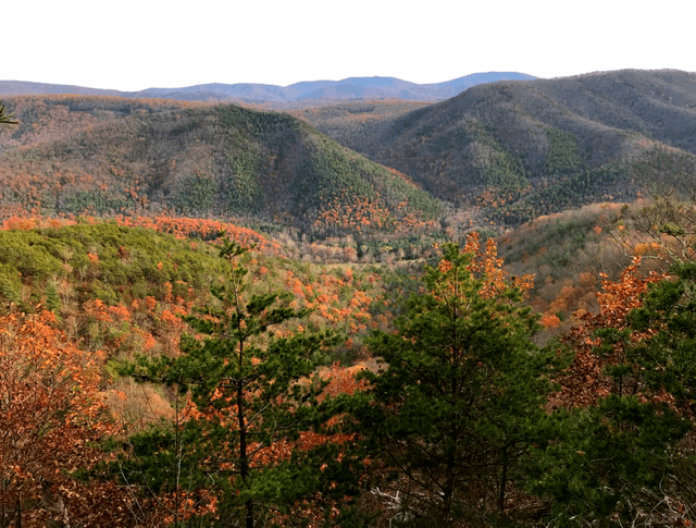 Beautiful fall colors with several mountain ridges in Virginia