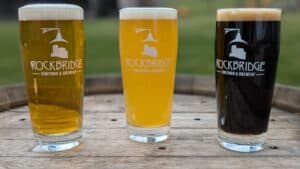 3 beers ranging in color