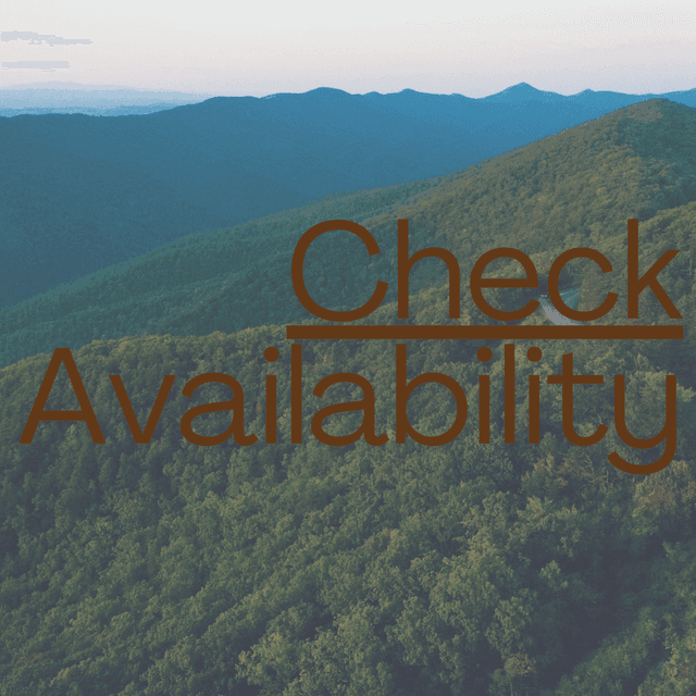 check availability written over an image of the blue ridge mountains